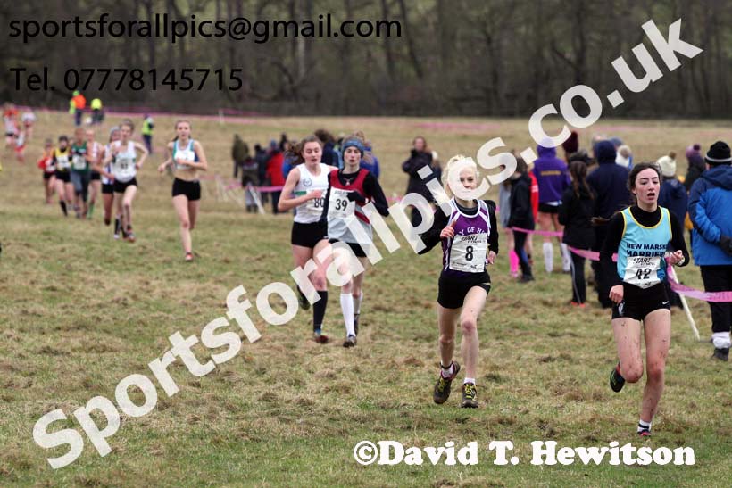 Junior womens 2018 Northern Cross Country Champs., Harewood House, Leeds. Photo: David T. Hewitson/Sports for All Pics